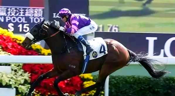 阿联酋马术选手表现出色，成功夺得金牌