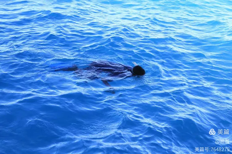 埃及射击选手在比赛中展示高超技艺